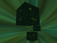 Borg-Schwarm